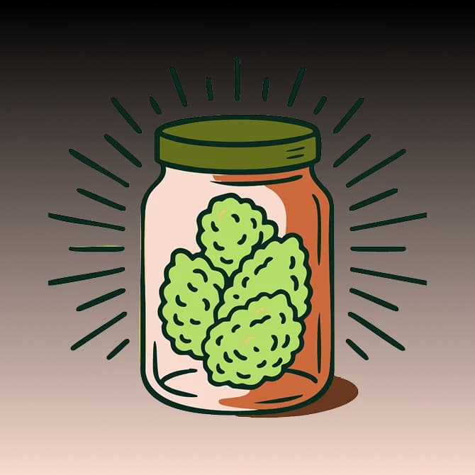 magnifying glass icon