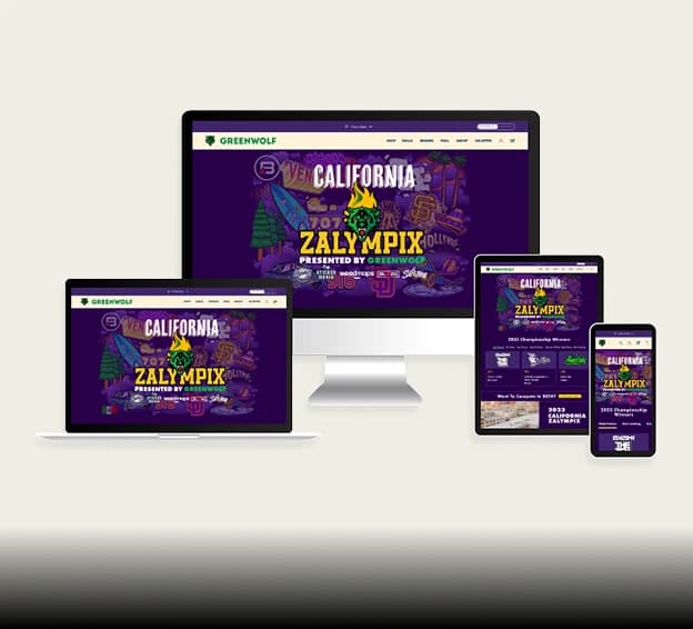 screenshots of email campaigns