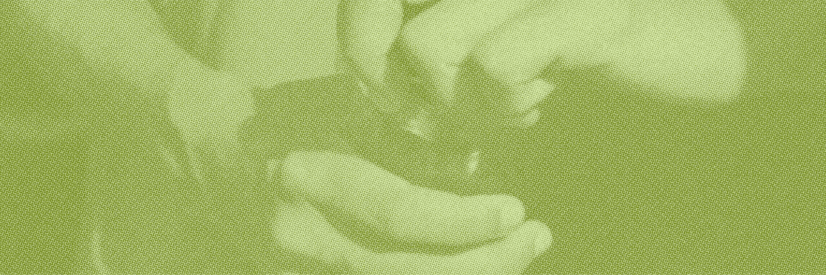 How to Write Cannabis Email Subject Lines That Customers Open