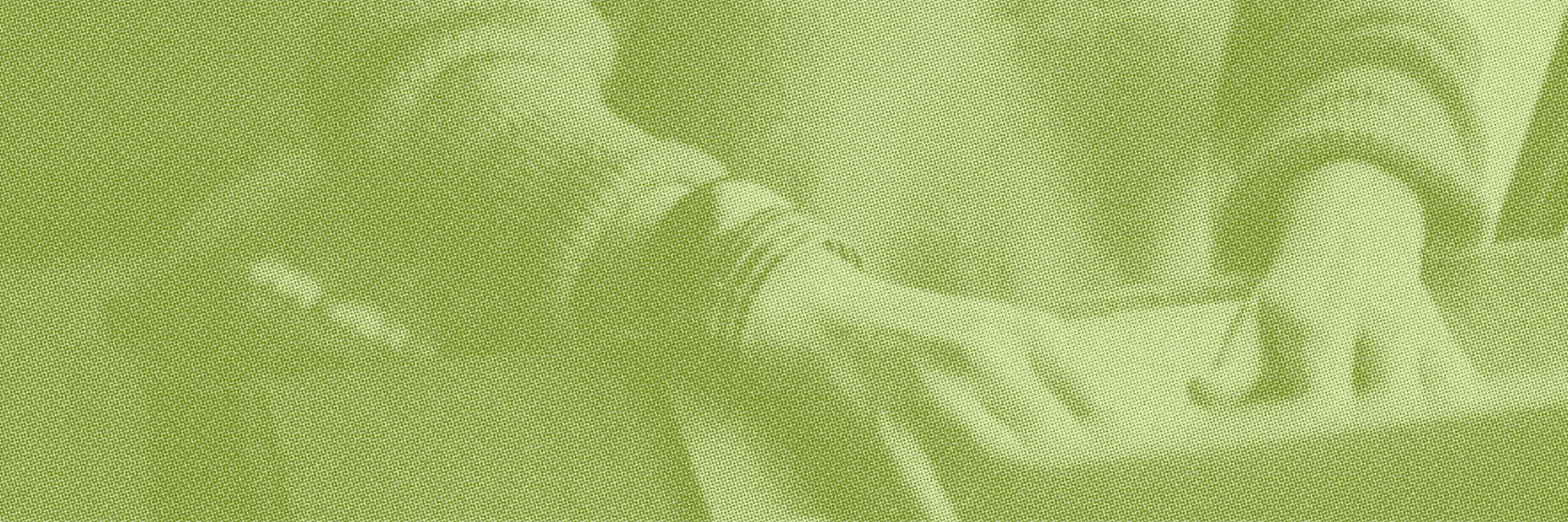 How to Launch a High-Converting Cannabis Website