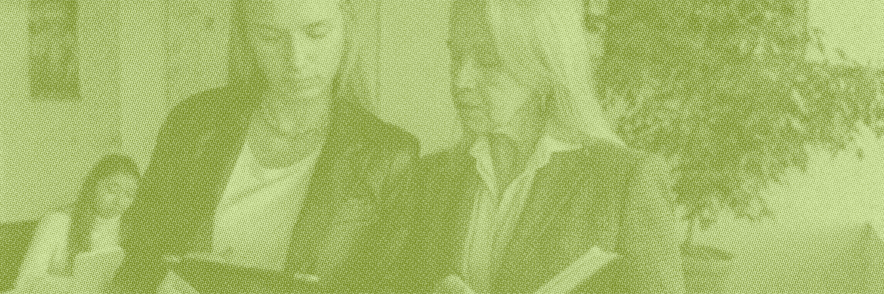 How to Create High-Ranking Cannabis SEO Content That Attracts Customers