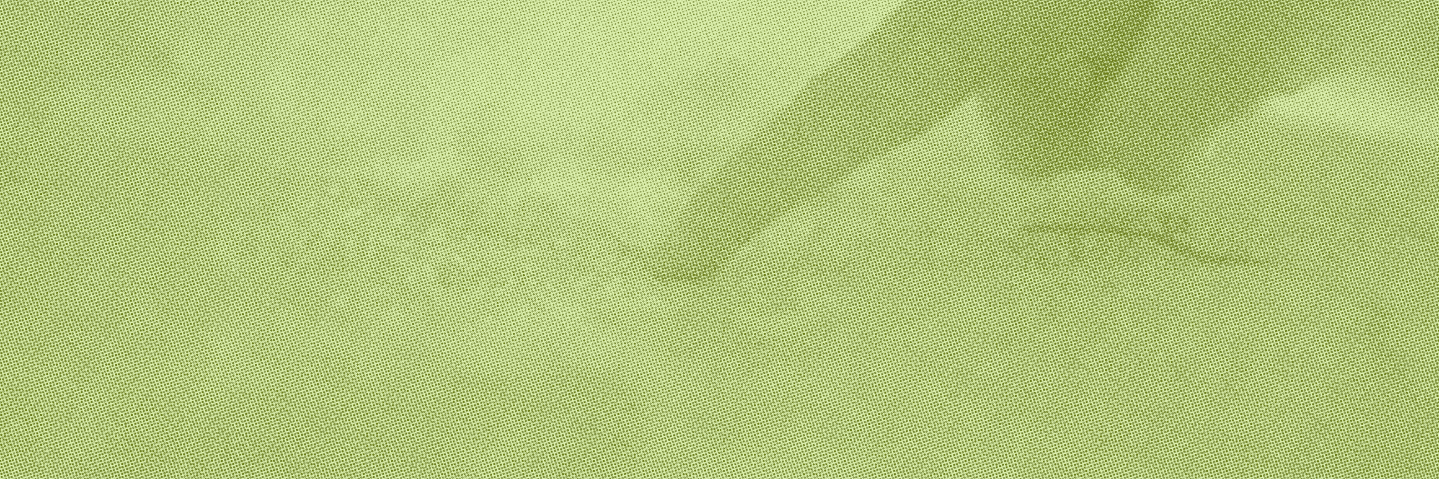 The 10 Most Important Local Directories for Cannabis Dispensaries