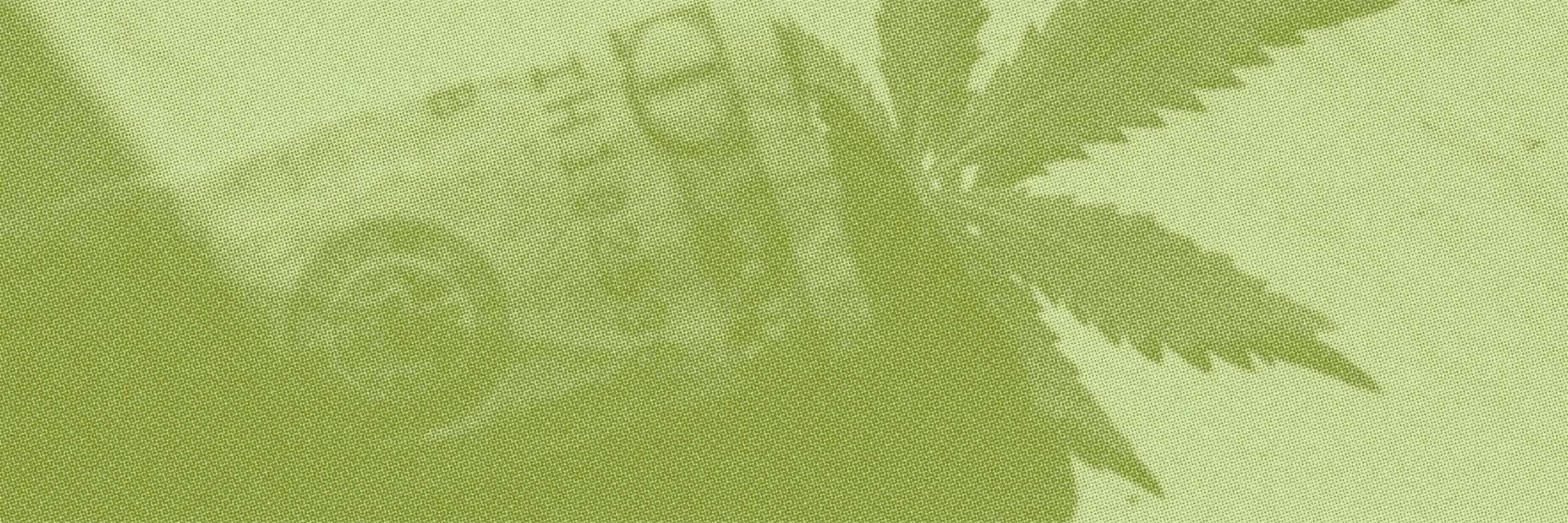The Cannabis Advertising Funnel: A Stage-by-Stage Guide