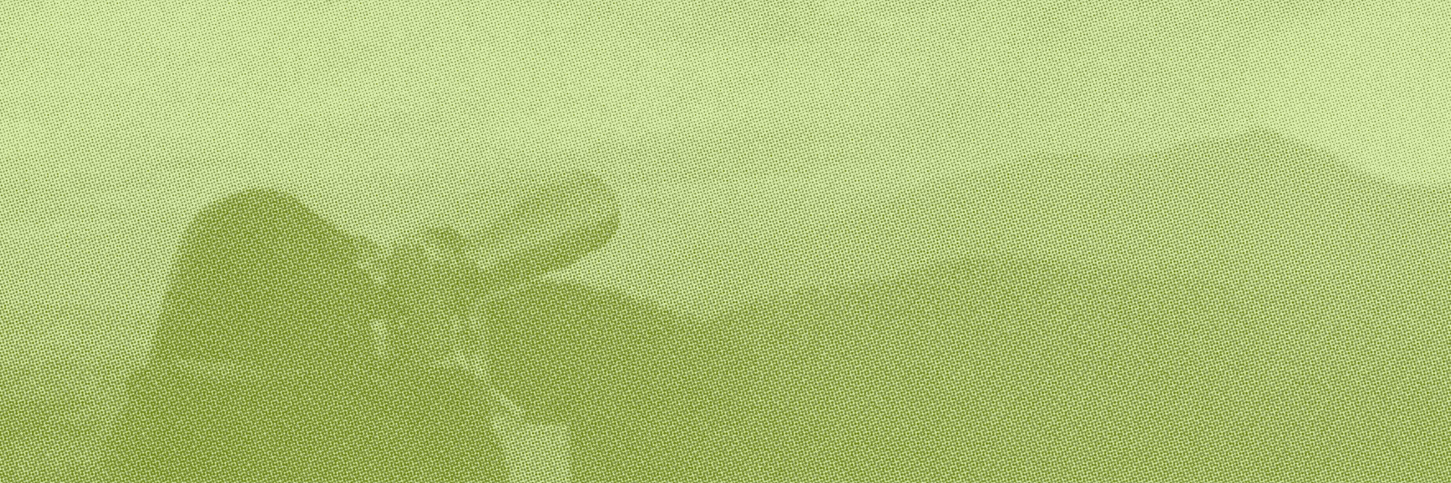 Why Your Cannabis Website Isn't Ranking (and How to Fix it)