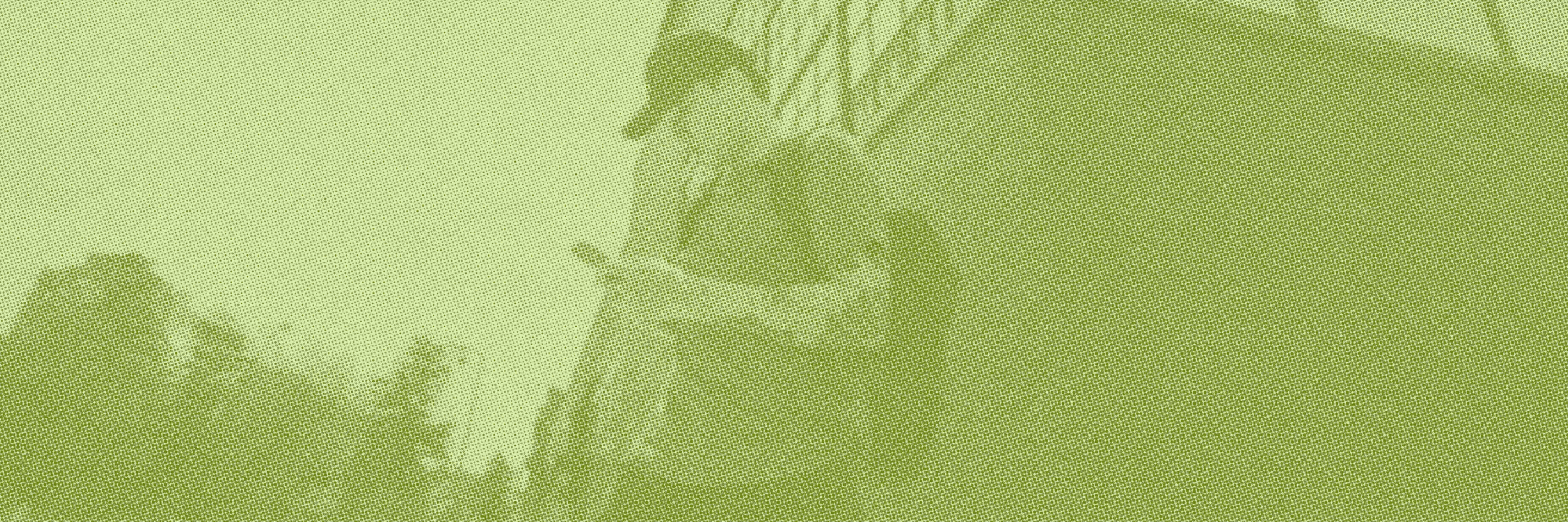 Cannabis Email Sequences: Put Dispensary Sales on Autopilot