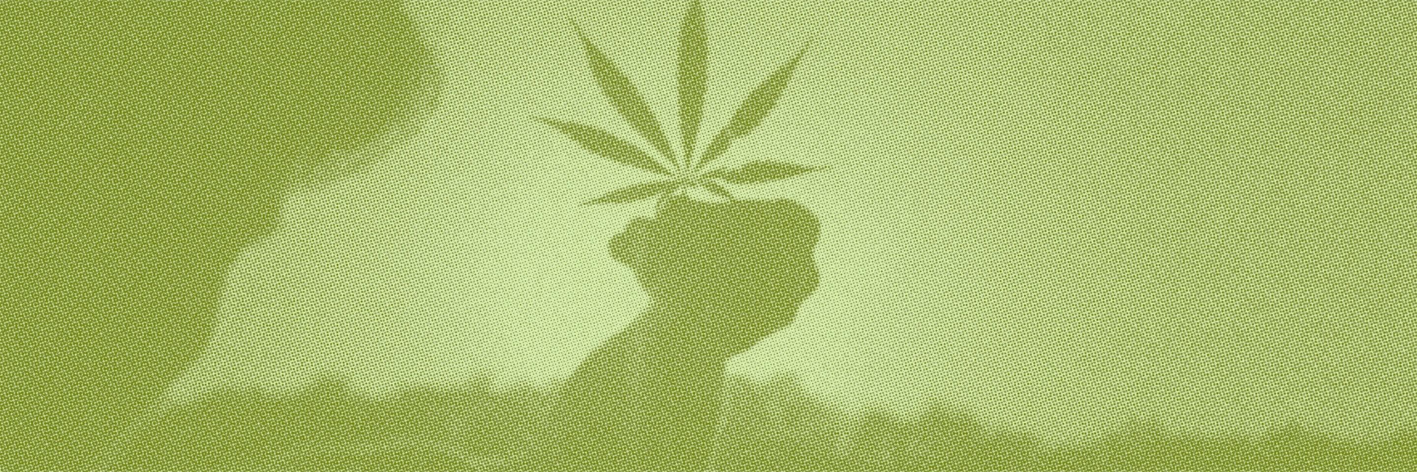 Paid vs Organic Dispensary Marketing: Which Works Better?